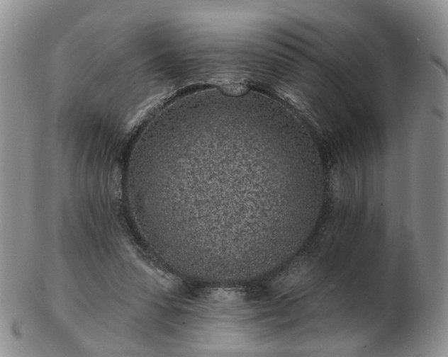 X0000102830303200808251140