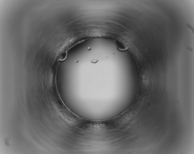 X0000102830304200808251140