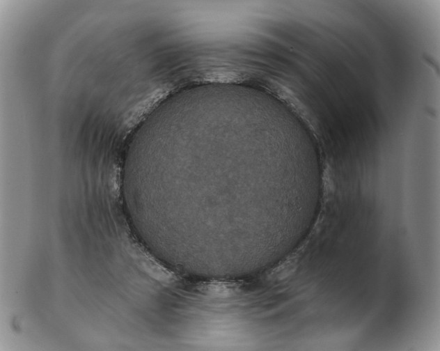 X0000102830305200808251140