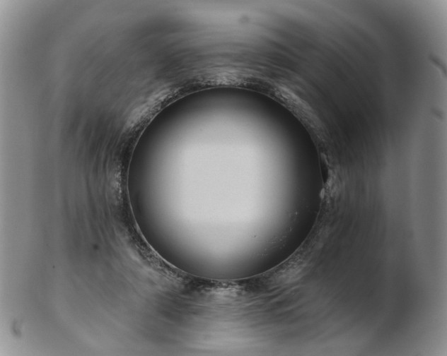 X0000102830306200808251139