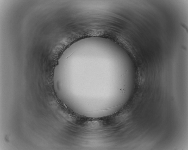 X0000102830307200808251139