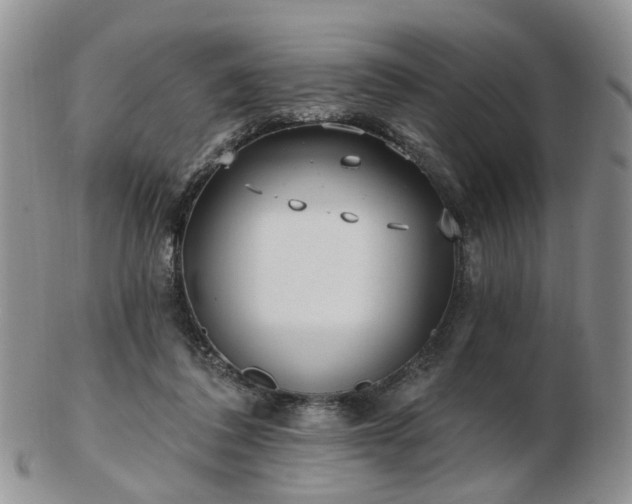 X0000102830308200808251139