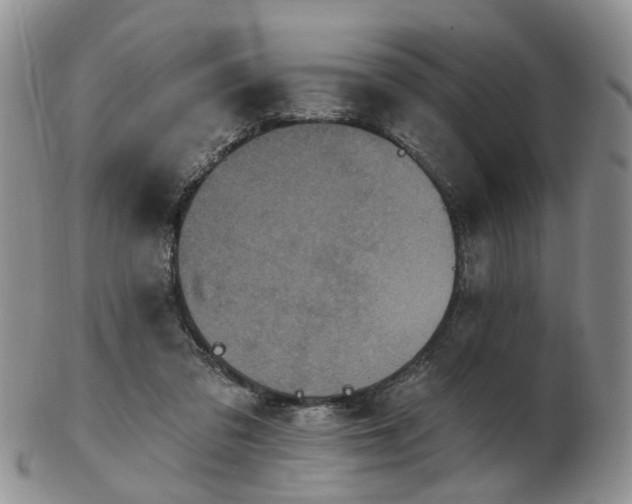 X0000102830309200808251139