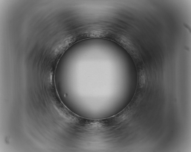 X0000102830310200808251139