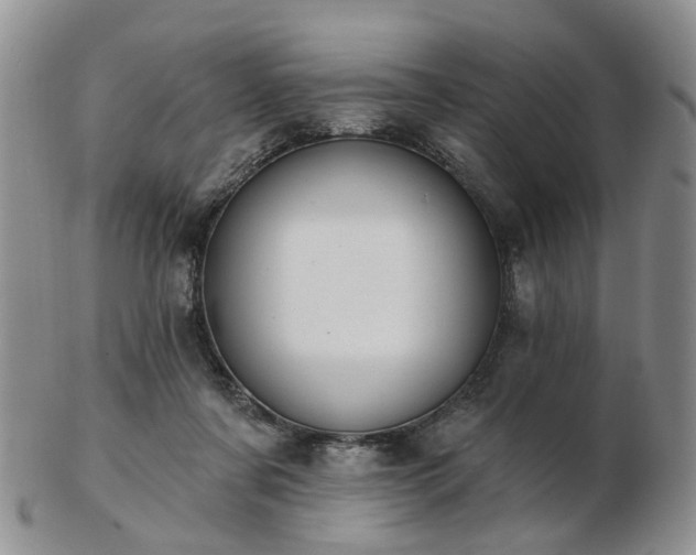 X0000102830311200808251139