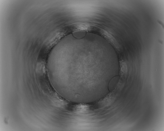 X0000102830313200808251139