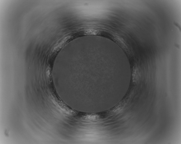 X0000102830314200808251139