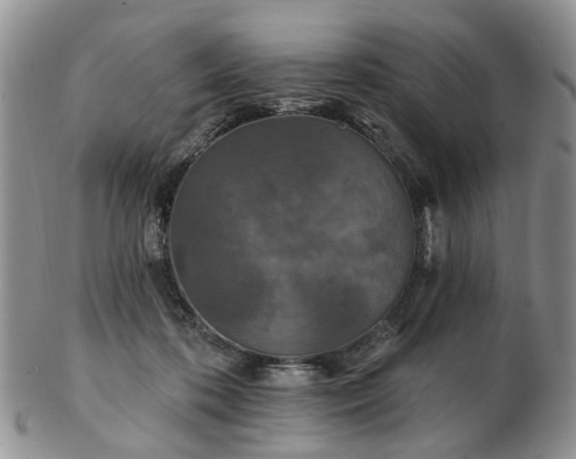 X0000102830316200808251139