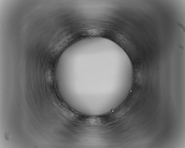 X0000102830317200808251139