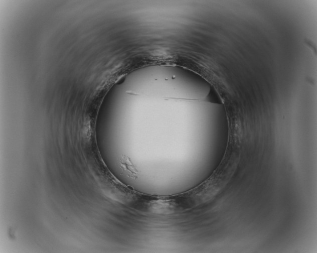 X0000102830320200808251139