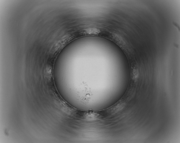 X0000102830321200808251139