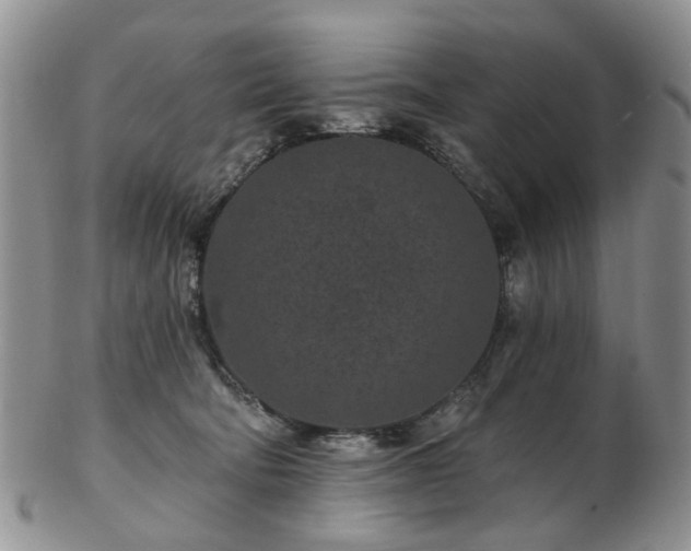 X0000102830322200808251139