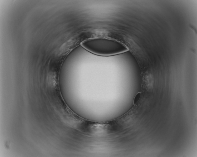 X0000102830323200808251139