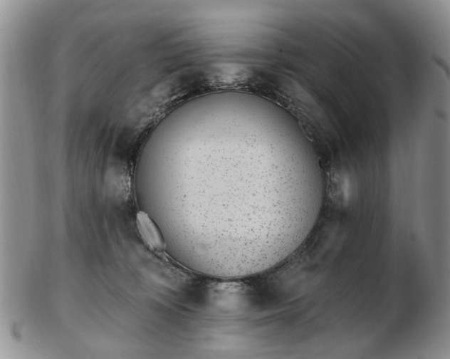 X0000102830324200808251139