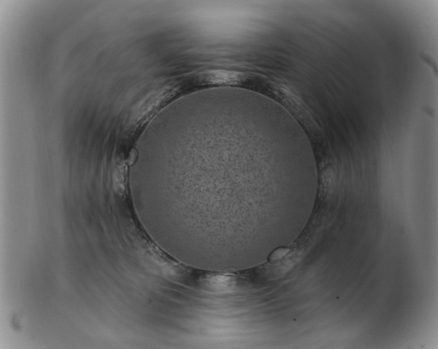 X0000102830325200808251139