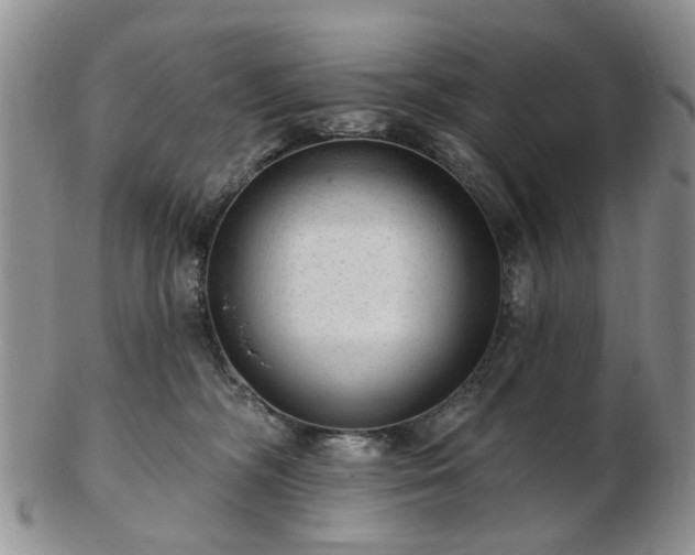 X0000102830326200808251139