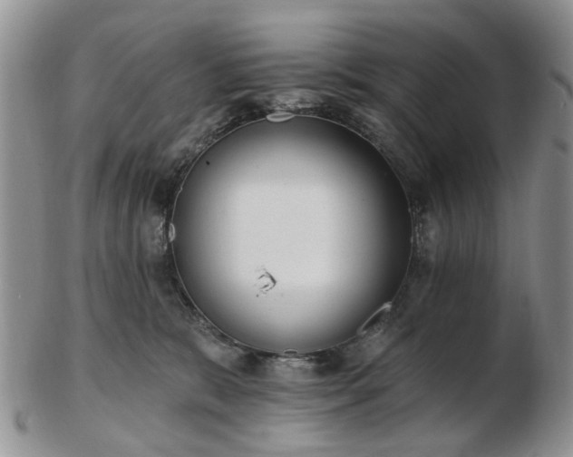 X0000102830327200808251139