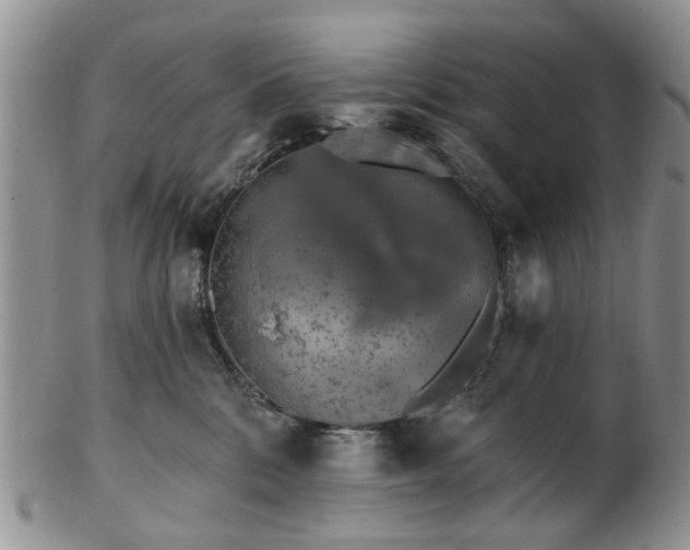 X0000102830328200808251139