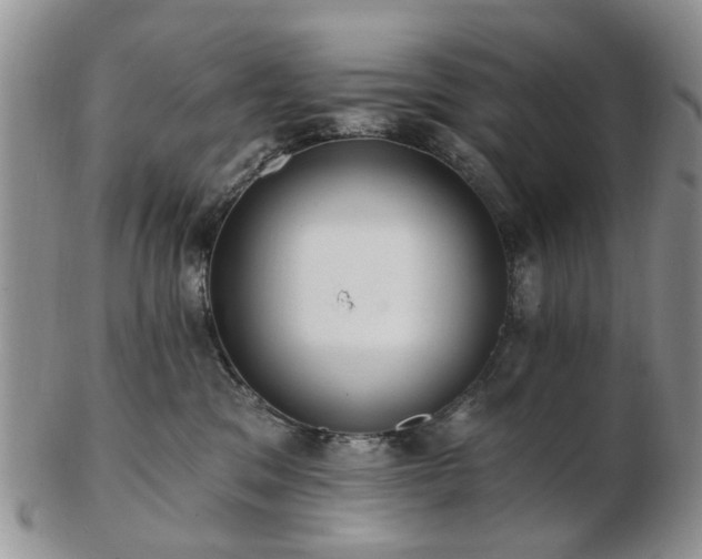 X0000102830329200808251139