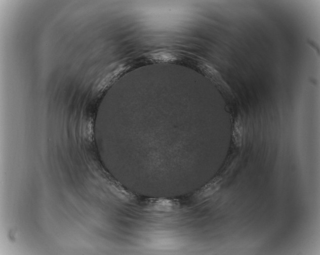 X0000102830330200808251139