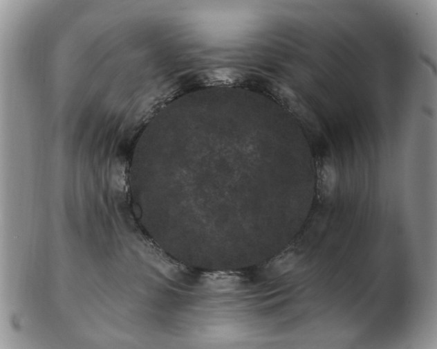 X0000102830331200808251139