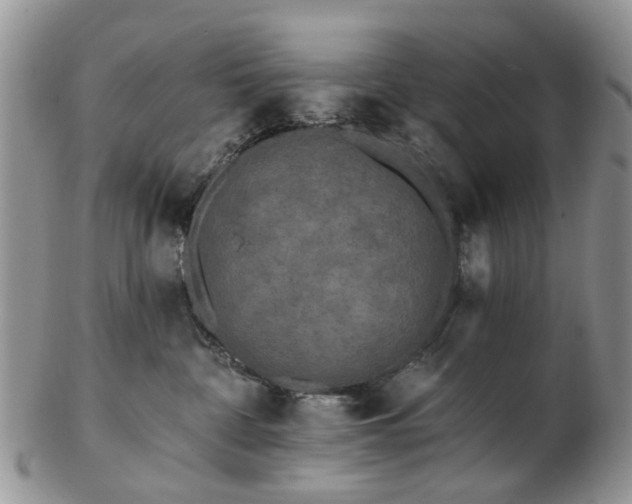 X0000102830332200808251139