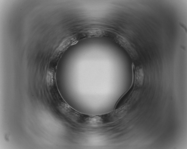 X0000102830333200808251139