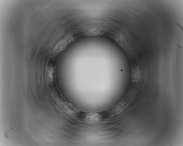 X0000102830334200808251139