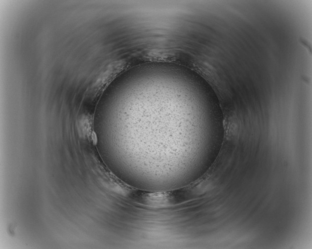 X0000102830335200808251139