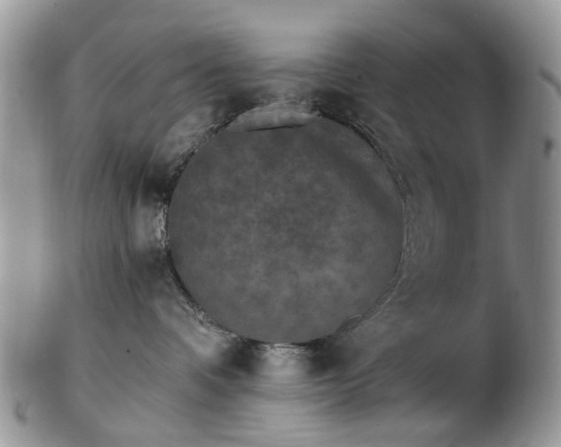 X0000102830336200808251139