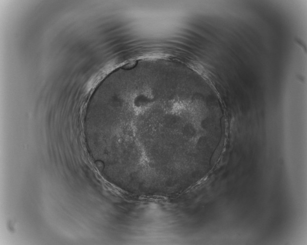 X0000102830337200808251138