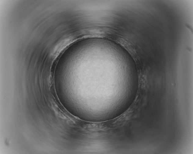 X0000102830338200808251138