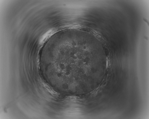 X0000102830339200808251138