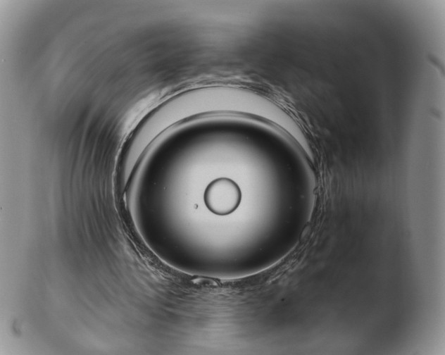 X0000102830340200808251138