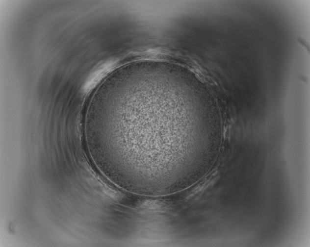 X0000102830341200808251138