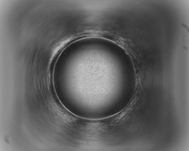 X0000102830342200808251138