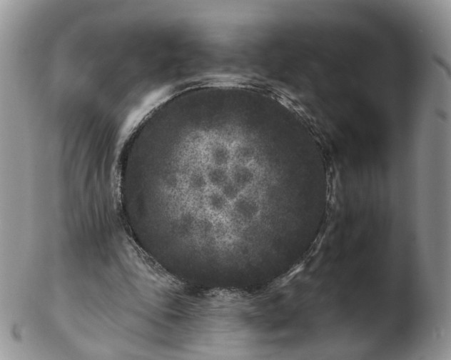 X0000102830343200808251138