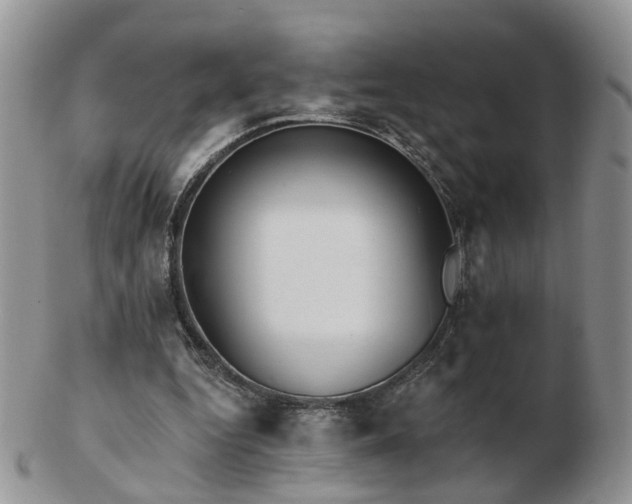 X0000102830344200808251138