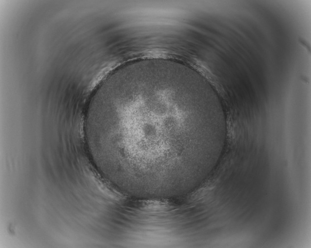 X0000102830347200808251138