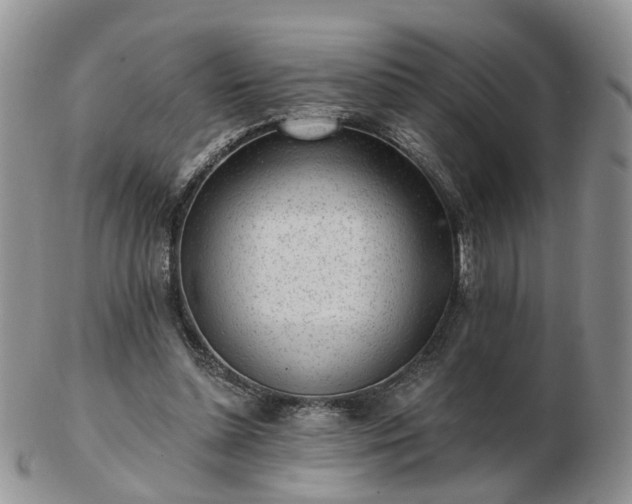 X0000102830348200808251138