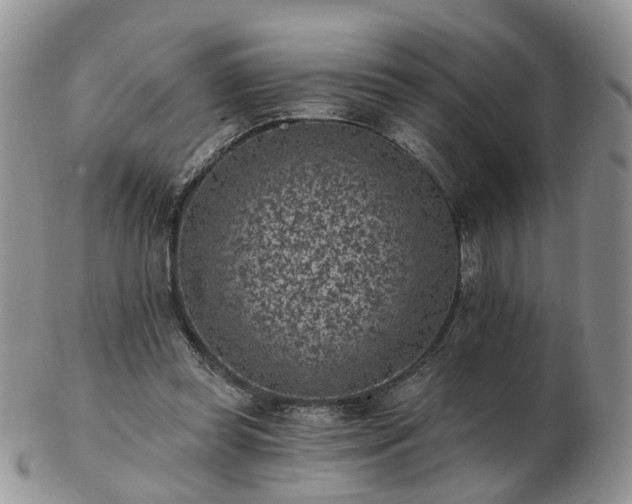 X0000102830349200808251139