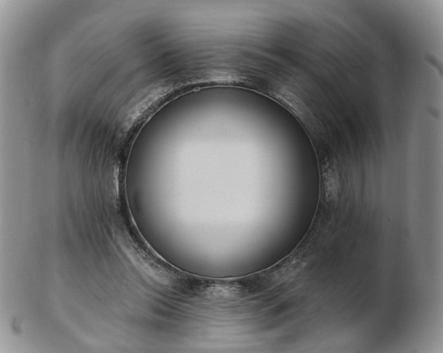 X0000102830350200808251139