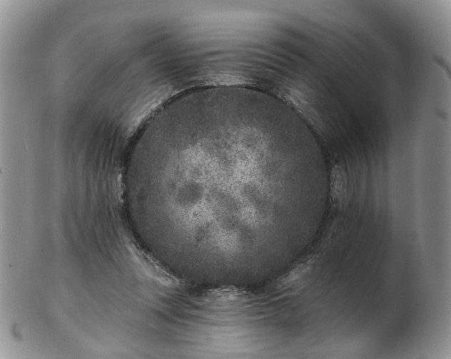 X0000102830351200808251139