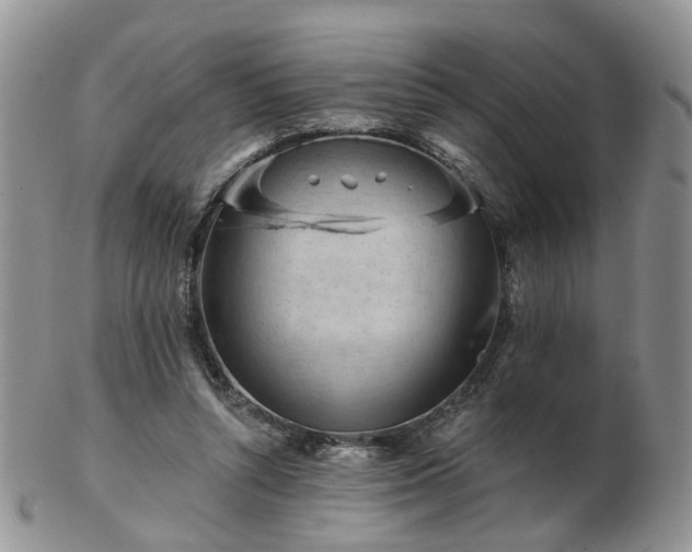 X0000102830352200808251139