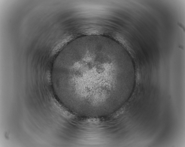 X0000102830353200808251139