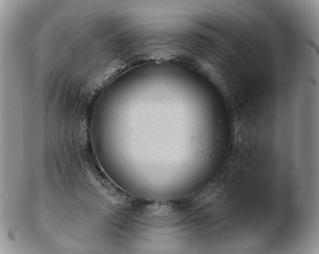 X0000102830354200808251139