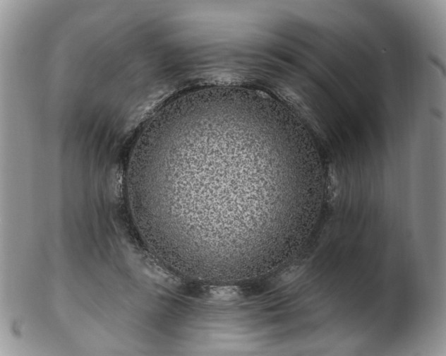 X0000102830355200808251139