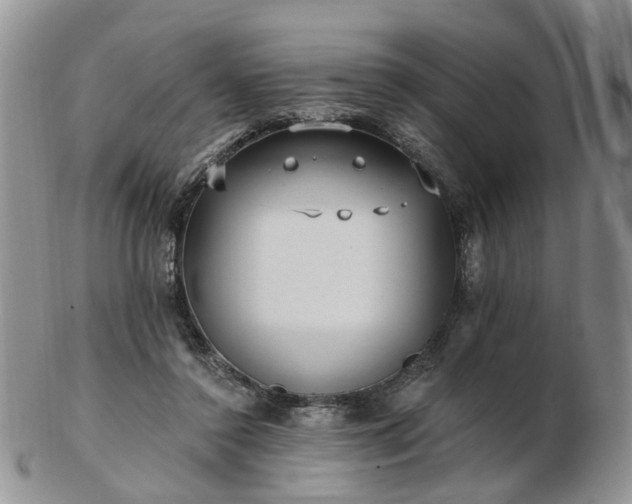 X0000102830356200808251139