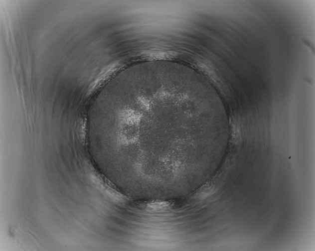 X0000102830357200808251139