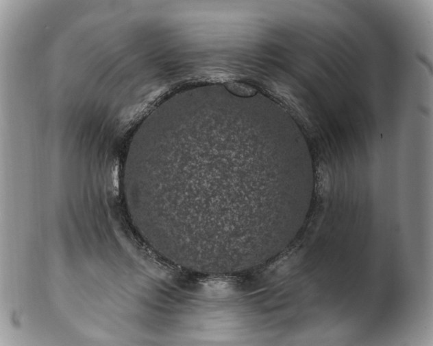 X0000102830358200808251139